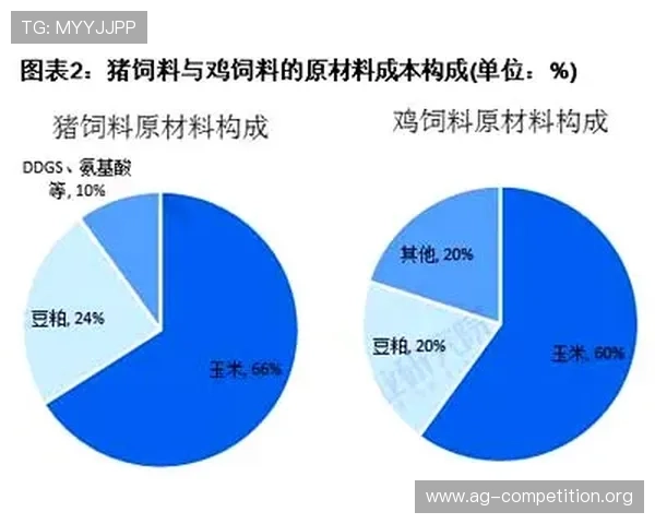 盛世体育真人官方网站分析真人娱乐行业的发展趋势与未来前景